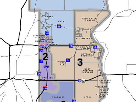 Local Redistricting 101 (Updated: video now available)