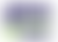 Give to the Max ~ 11/17/2022