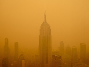 A Summer of Forest Fires