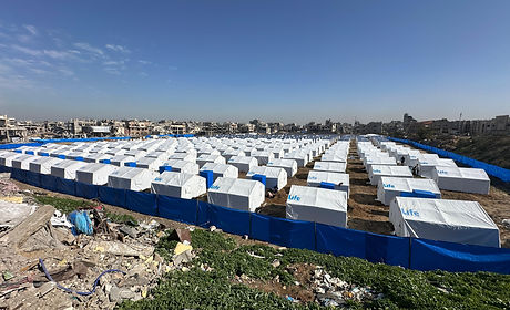 WhatsApp Image 2025-02-15 at 8.09.01 AM.jpeg