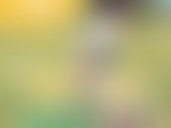 【カラダ作り】健康体には必須な免疫力とは