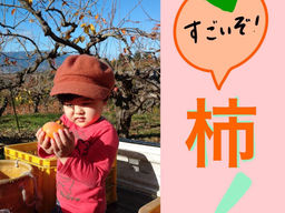 すごいぞ! 柿!!