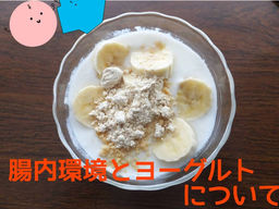 12月は腸活特集!② 腸内環境とヨーグルトのお話。
