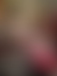 Getting ready for the Christmas Market