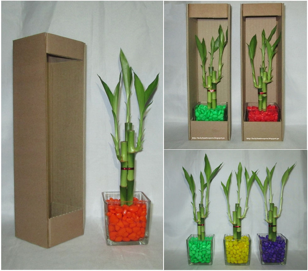 Diseños Personalizados.