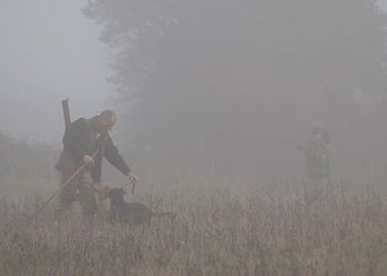 Shooting season, winter fog / mist on a pheasant drive in Deveon, England – shooting day cancelled due to bad weather.