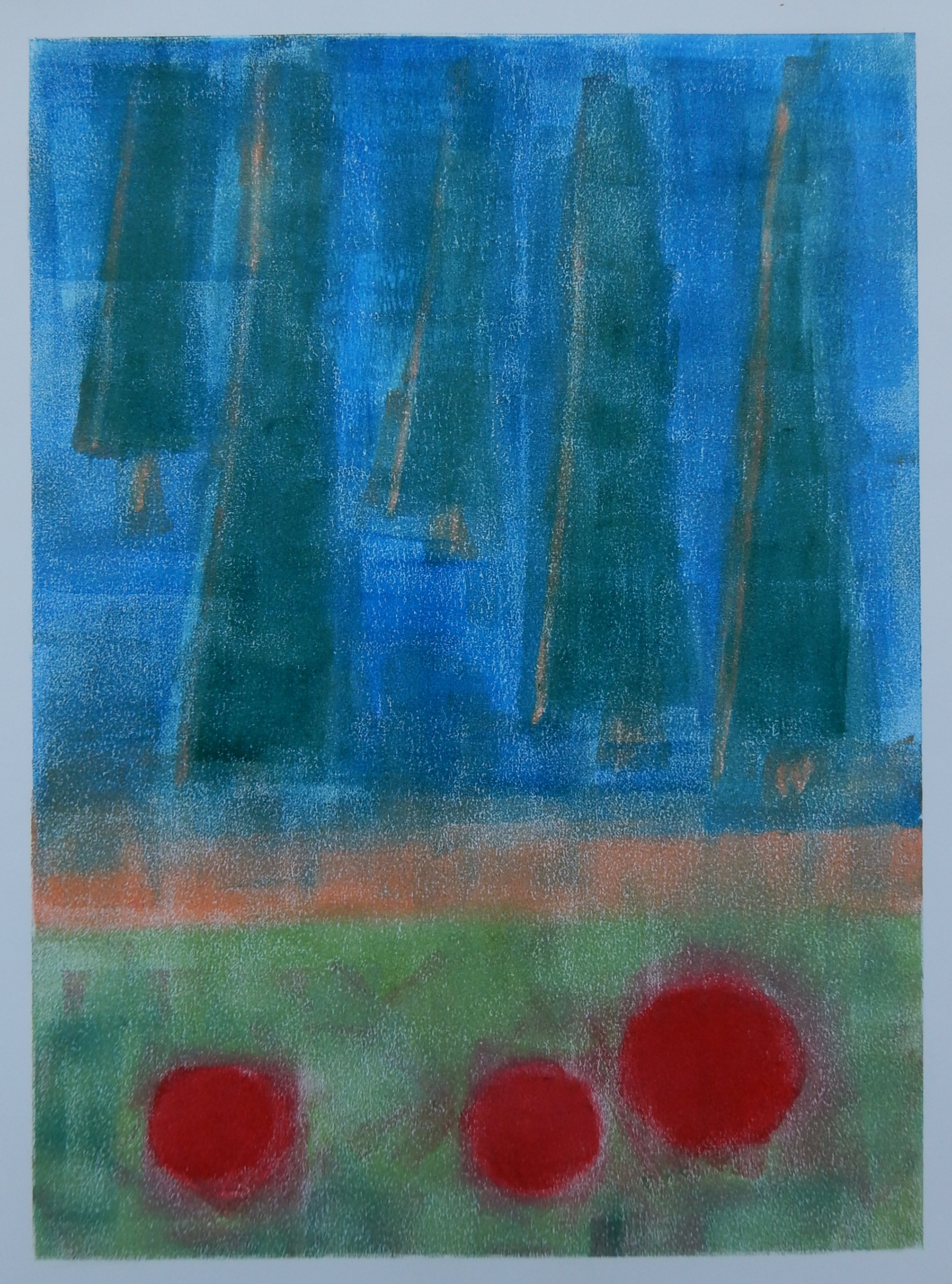 DSCN0800