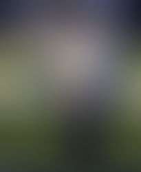 Welcome to Shark Bites!