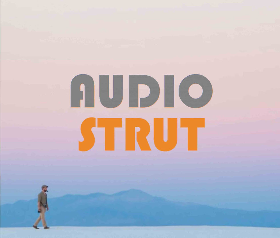 Thumbnail: Special release signed Audio Strut CD album Funk Sonic + unreleased bonus tracks