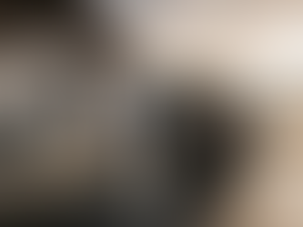 Chauffeur assists guests with skis at airport curb