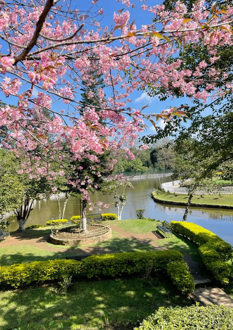 Travel to Meghalayawith Waari