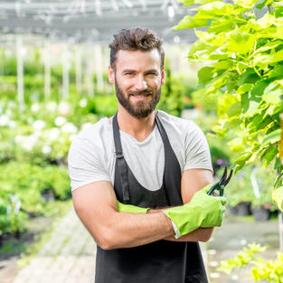 Gardening, Landscaping & Horticulture