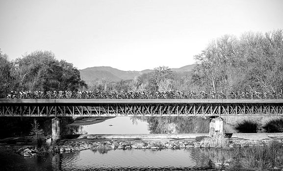 FSU MTB singletrack 23_1688_edited.jpg