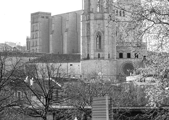 nxtlvl performance cycling pro mtb racinng xc