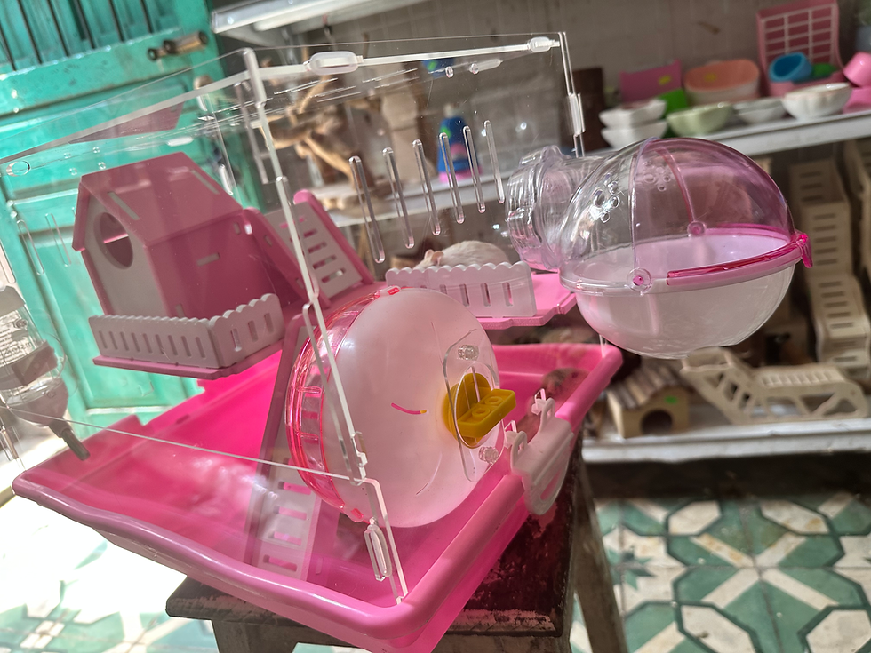 Hình thu nhỏ: lồng mica lâu đài full phụ kiện