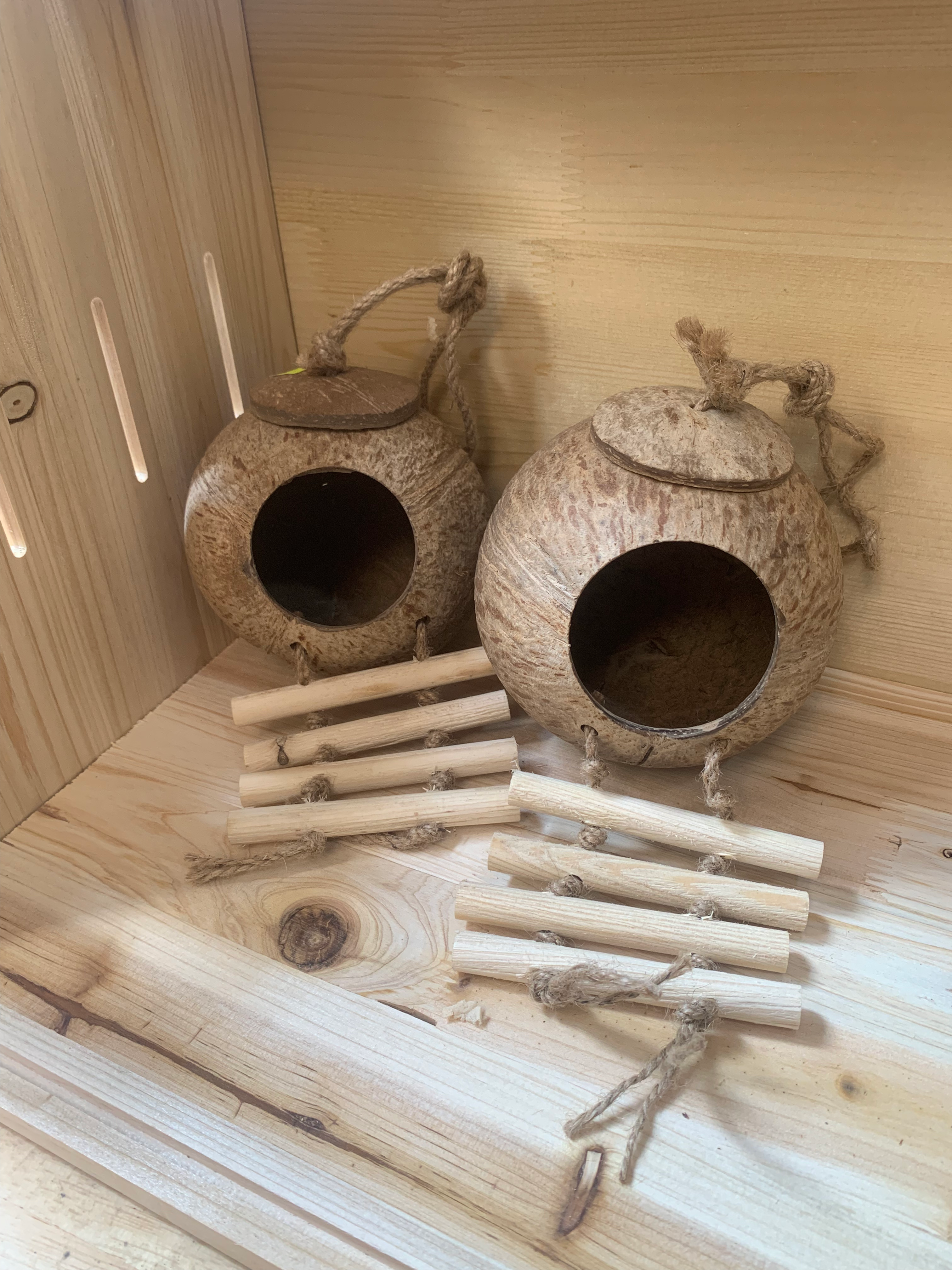 nhà ngủ gáo dừa treo ( nguyên trái )