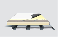 Screen Shot 2024-07-29 at 1.54.43 AM.png