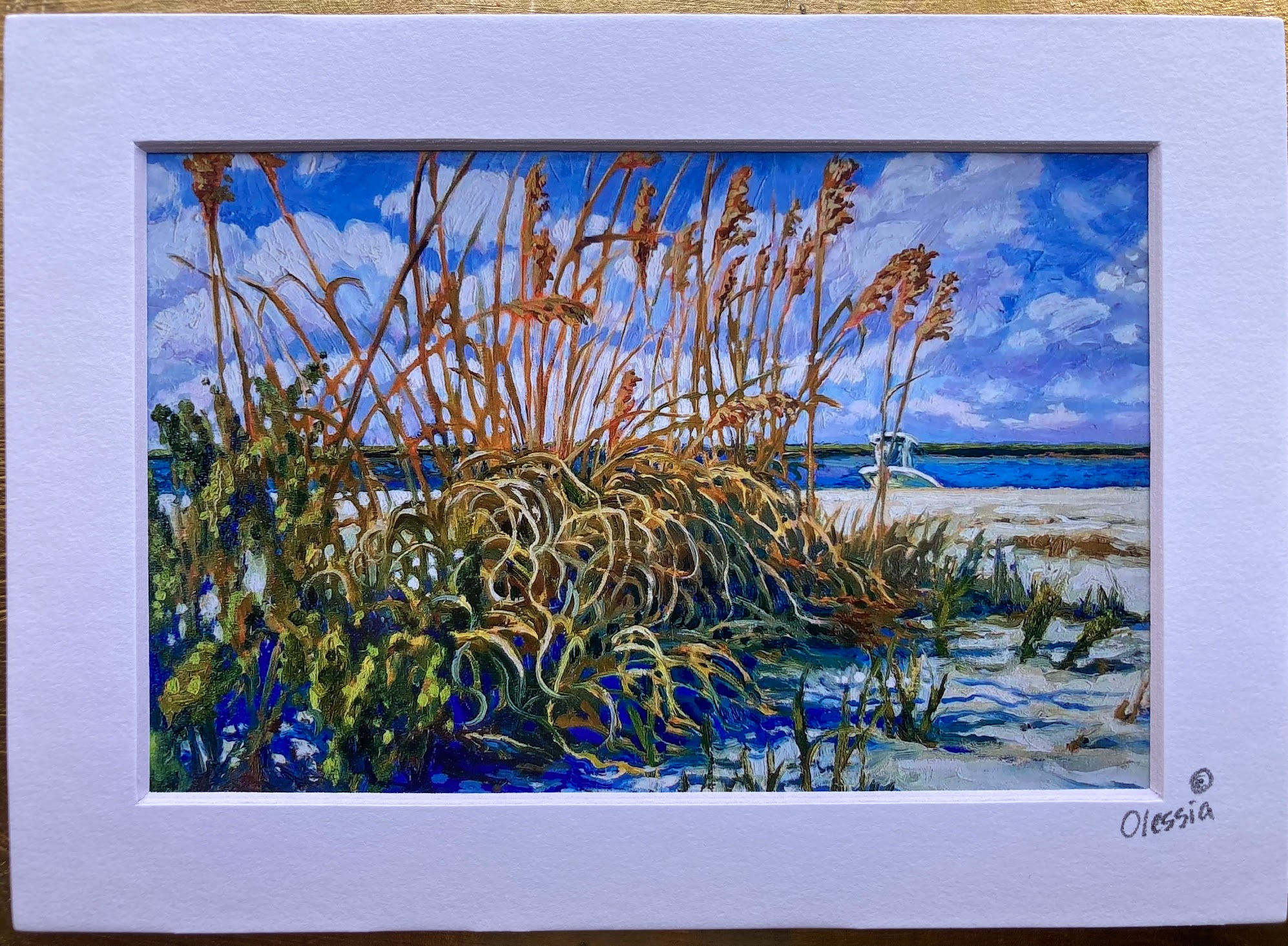 Sapelo Seagrass