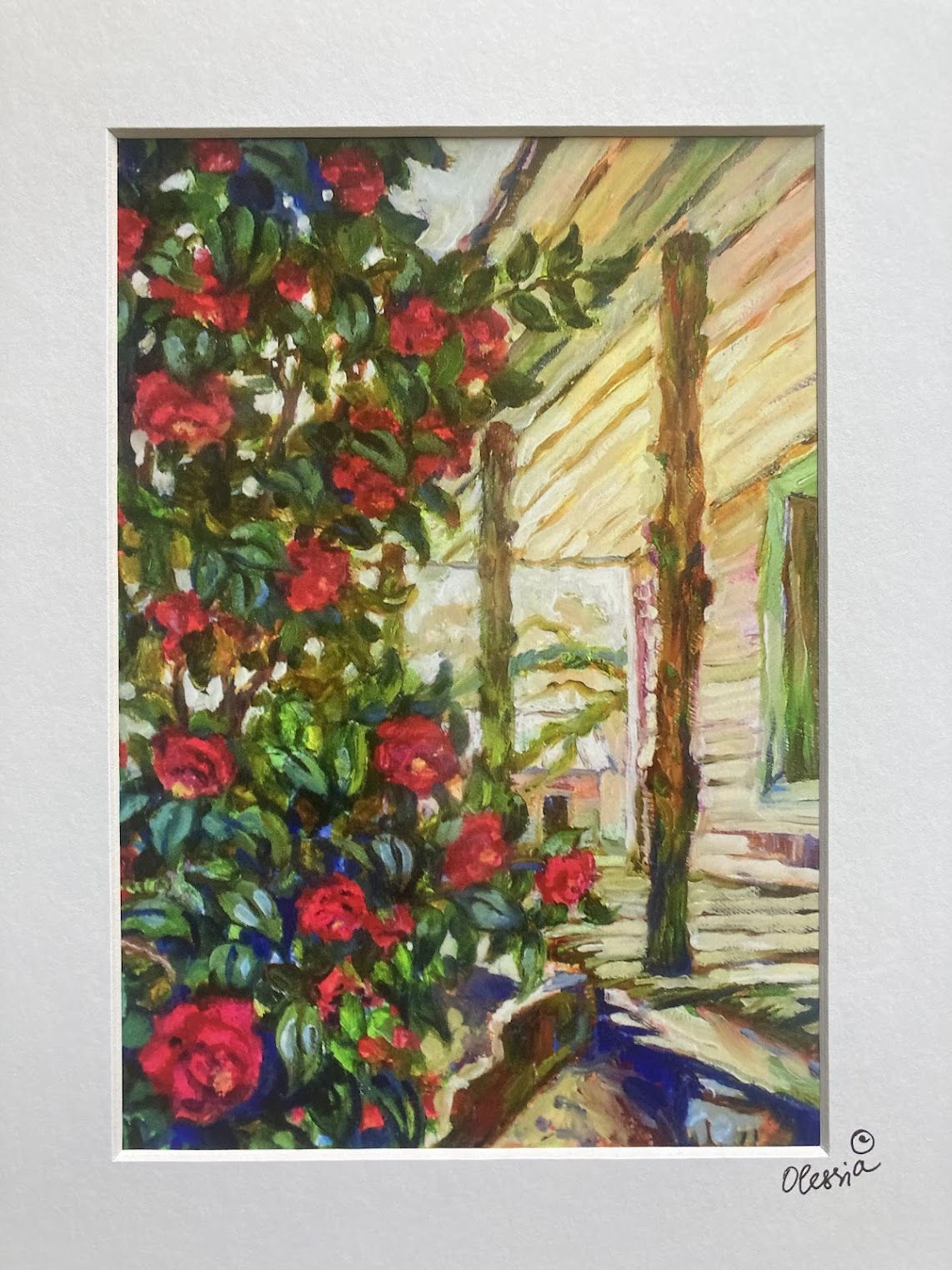 Mt. Pleasant Camellias