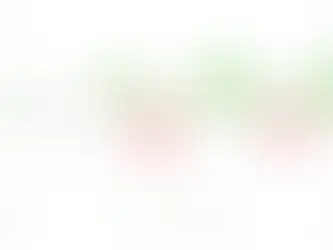 🅵🅸🅽🅰🅽🅲🅸🅰🅻 🆁🅴🆂🅾🅻🆄🆃🅸🅾🅽🆂 2024