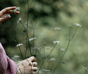 pexels-solomiia-voloshyn-718201395-18286338 2.jpg