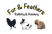 FAF Rabbit&Hatch Logo.jpg