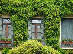The Heart of Home: More Than Just a Place