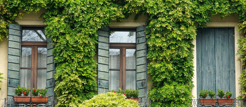 The Heart of Home: More Than Just a Place