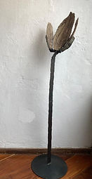 Magma Arte