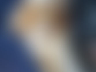 Nuge - My New Best Friend