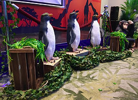 Life sized Rock Hopper Penguins