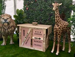 Rustic Jungle Crate, Cake Table