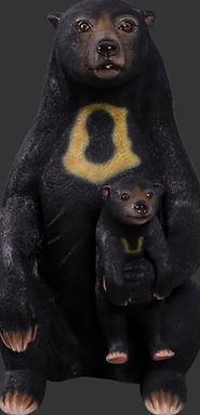 Life_Sized Sun Bear Prop