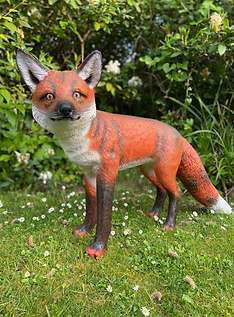 Life-sized Red Fox Prop