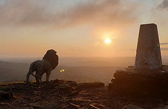 Lion on Sugarloaf Abergavenny