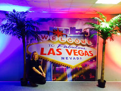 Las Vegas Sign Backdrop