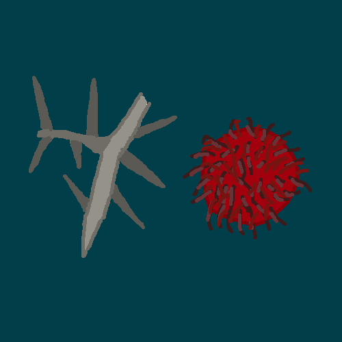 thorns and fruit