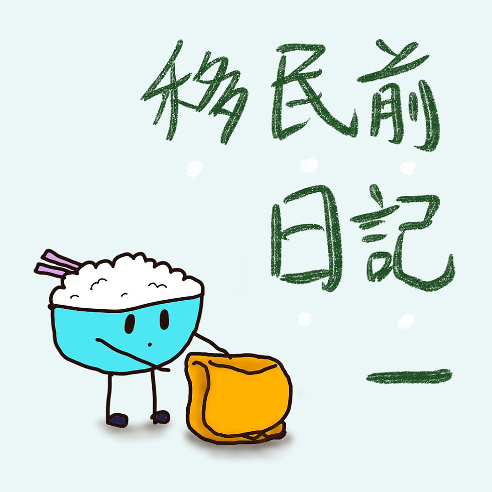 移民前日記(一)