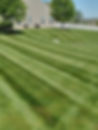 Resized_Resized_20220509_111110.jpeg