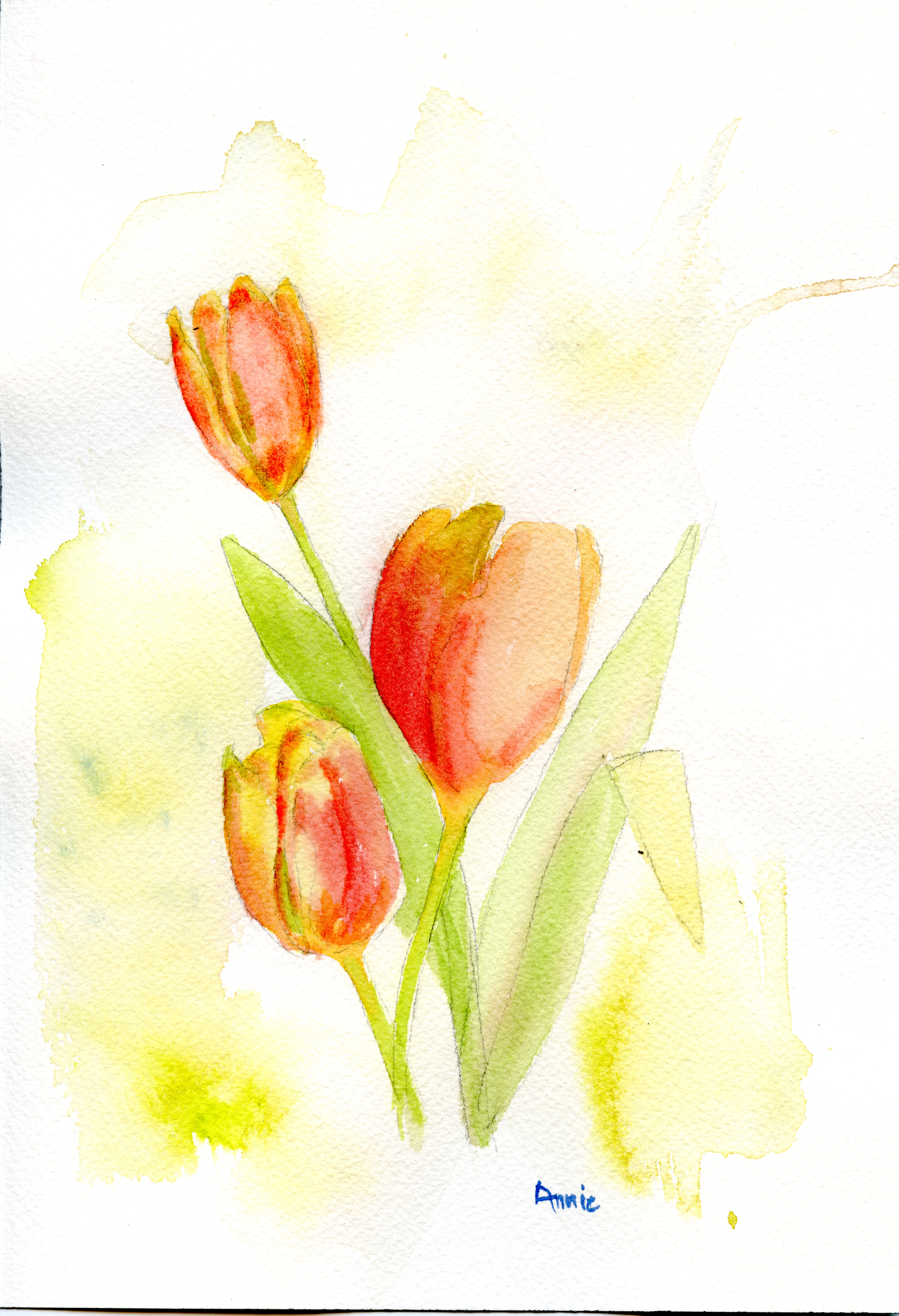 Signs of Spring I