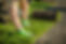 Turf 2.jpg