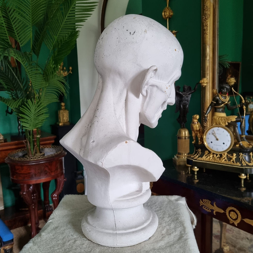 Miniature : Grand buste d'échorché en plâtre du XIXème siècle.