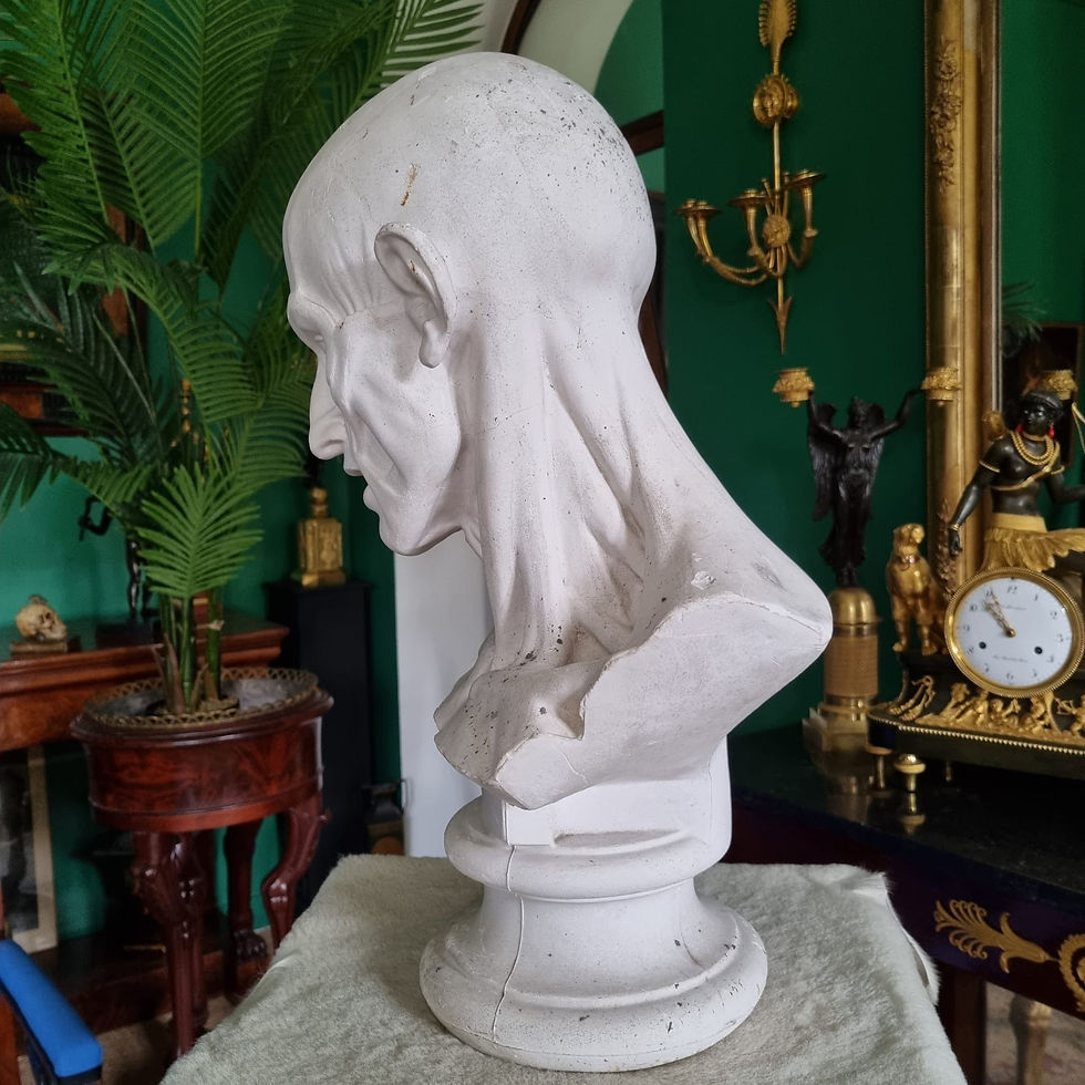 Miniature : Grand buste d'échorché en plâtre du XIXème siècle.