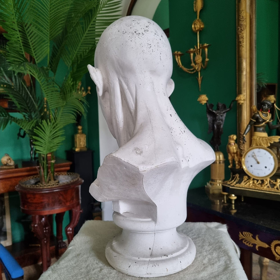 Miniature : Grand buste d'échorché en plâtre du XIXème siècle.