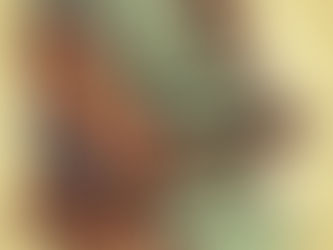 Set It and Forget It: Automate Your Way to Steady Dividend Income