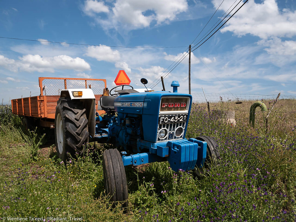 Vintage Ford tractor