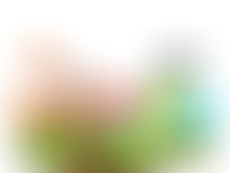 Doğal Afet Sırasında Sosyal Medya İçeriğini Yönetme Rehberi