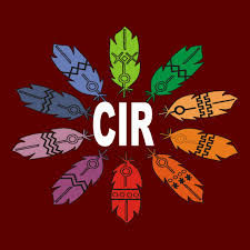 Conselho Indígena de Roraima – Sala de Situação para Monitorar Queimadas