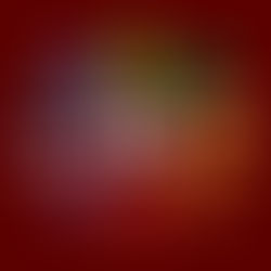 Conselho Indígena de Roraima – Sala de Situação para Monitorar Queimadas