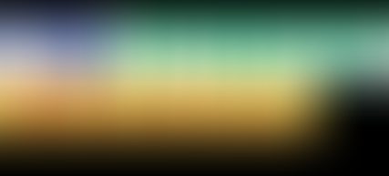 Povos Indígenas do Brasil (PIB)